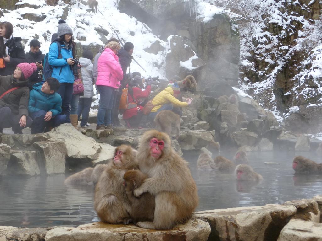 Akakura Yours Inn Myoko Exteriör bild